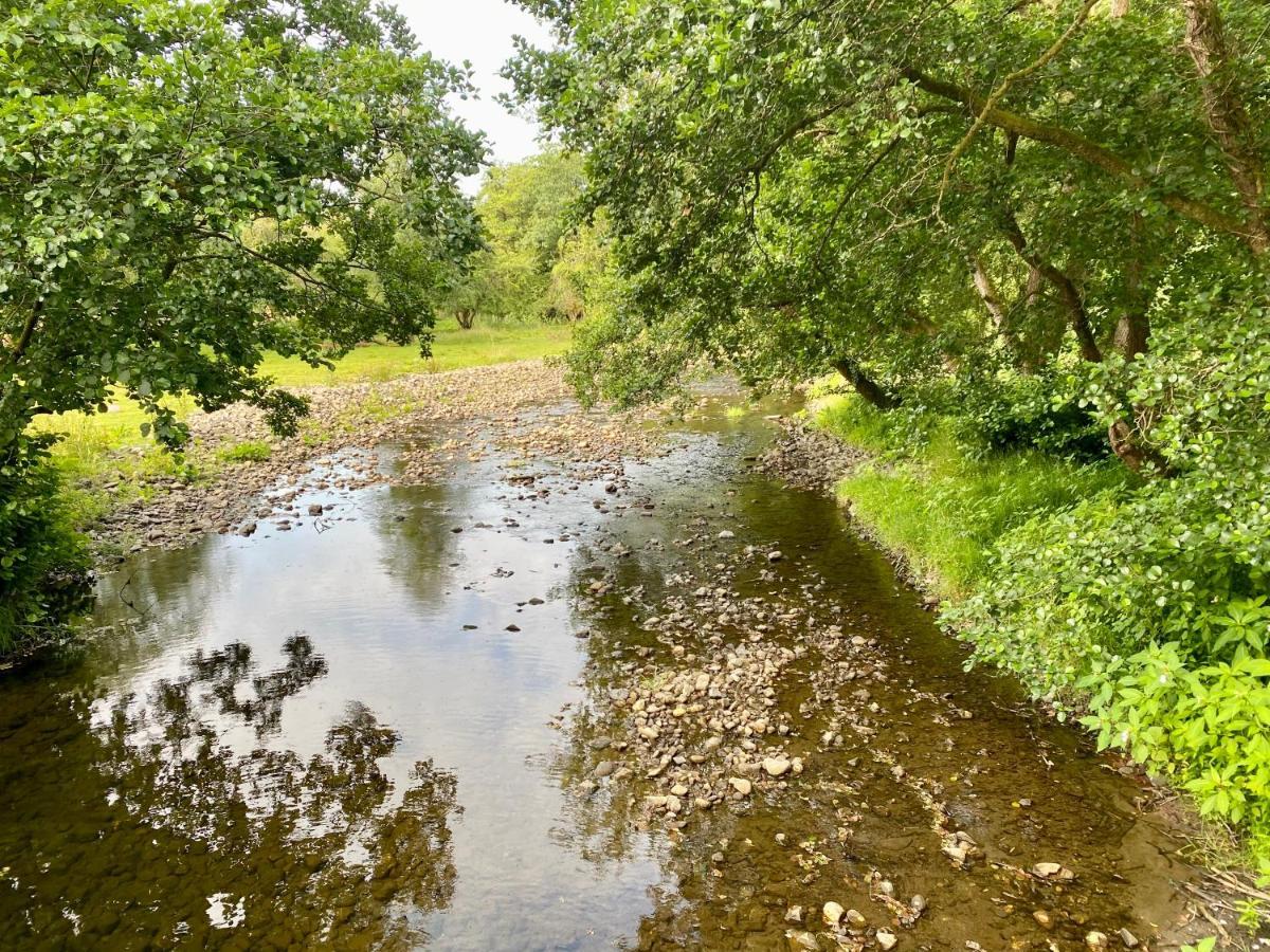 River View Glamping Hotell Llandovery Eksteriør bilde