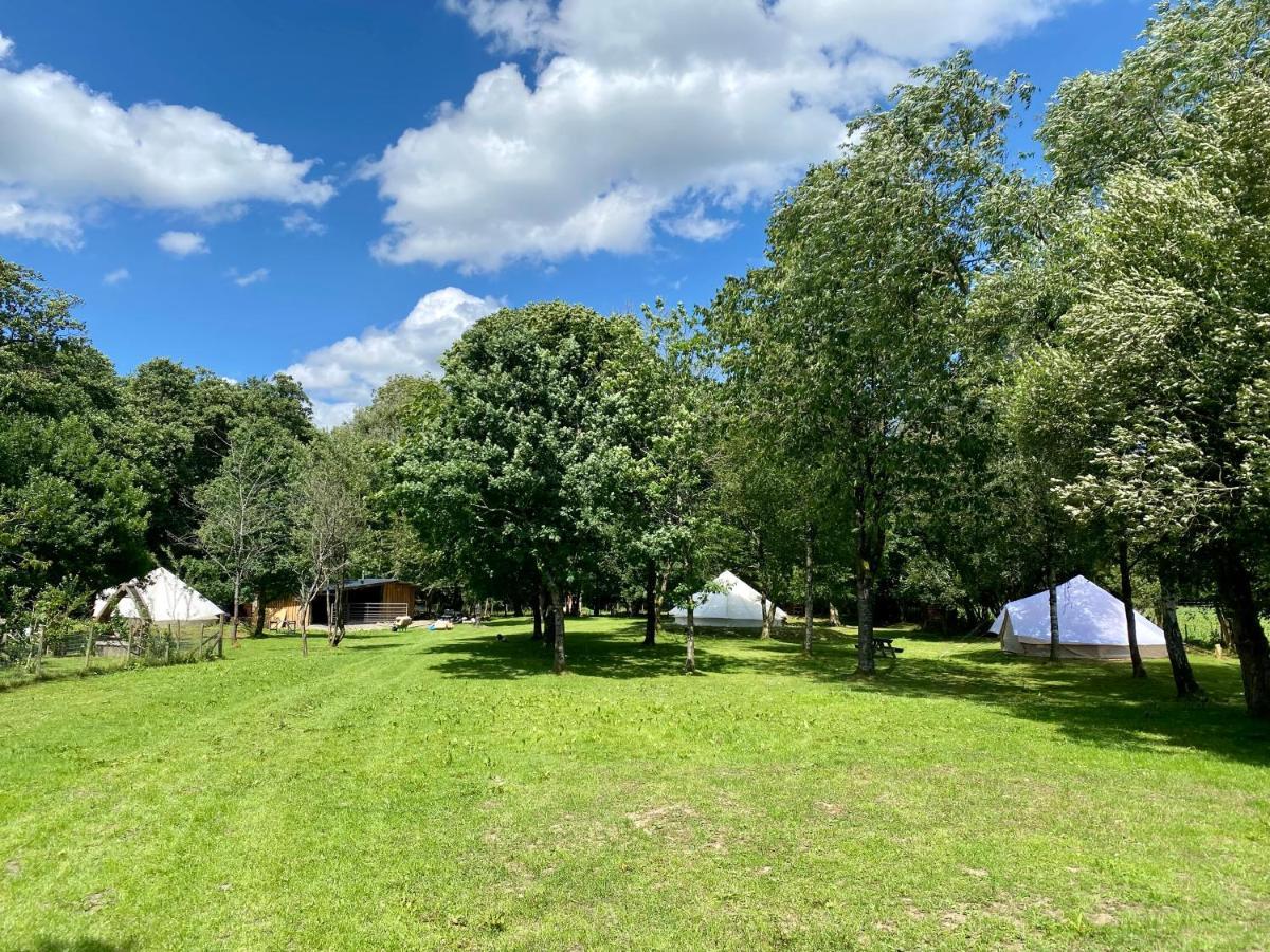 River View Glamping Hotell Llandovery Eksteriør bilde